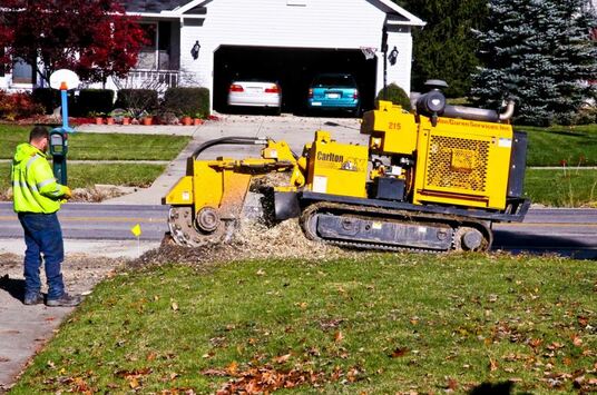 Stump Grinding and Stump Removal Billings MT and Laurel MT
